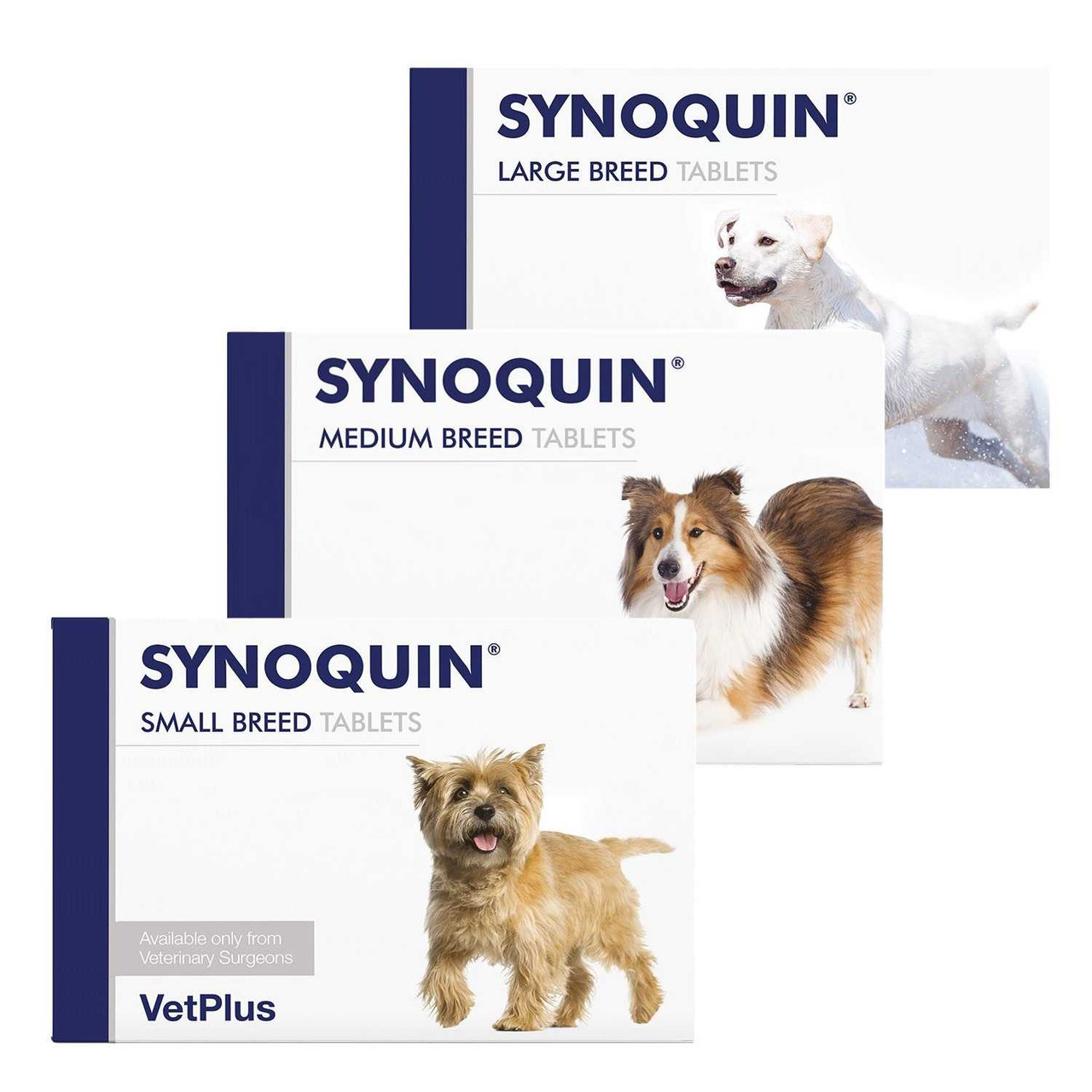 20% de réduction sur Synoquin Joint Support Tablets for Dogs : Advanced Joint Care with EFA at Atlantic animalerie en ligne