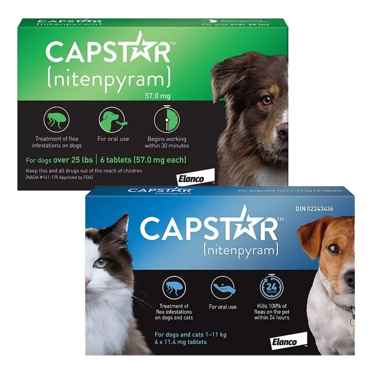capstar comprimé anti-puce à activité fulgurante destiné aux chats
