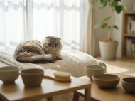 Acidurin Products: A Complete Buyer’s Guide