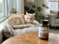 Milprazon vs Alternatives: Choosing the Best-Value Worming Option