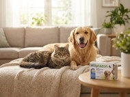 Milprazon Worming Tablets for Dogs & Cats: Coverage, Benefits & How to Choose