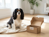 Nugard Review: Is It Worth It for Your Pet?