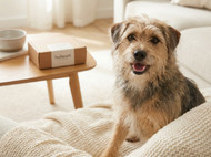 Nuheart for Dogs: Uses, Sizes & Buying Guide