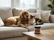 Rose Hip Vital Review: Is It Worth It for Dogs & Cats?