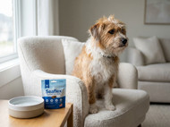 Seaflex Review: Is It Worth It for Flea & Tick Control?