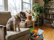 Value Plus Products: A Complete Buyer’s Guide