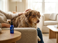 Why 4CYTE Is a Popular Choice for Pet Owners