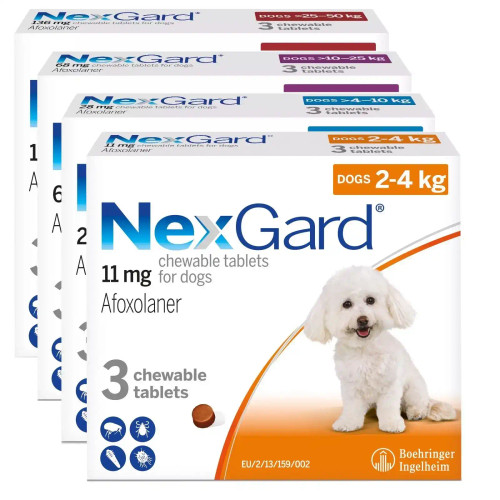 20% Off NexGard Flea & Tick Chewables for Dogs at Atlantic Pet Products