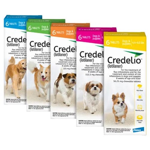 20% de descuento en Credelio para perros en Atlantic Pet Products