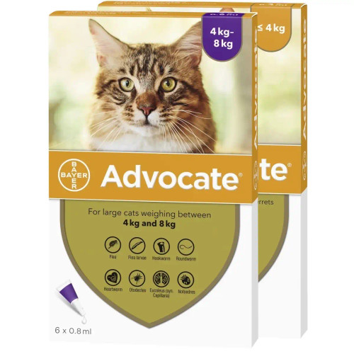 20% di sconto su Advocate per gatti presso Atlantic Pet Products