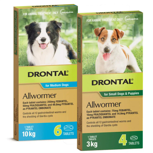 20% di sconto sulle compresse allwormer Drontal per cani presso Atlantic Pet Products