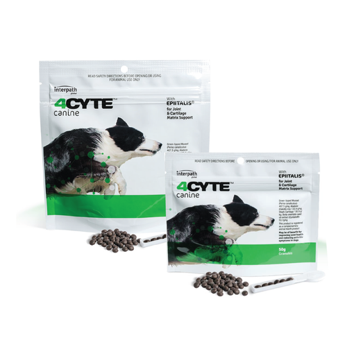 4CYTE Canine Joint Support For Dogs