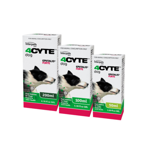 4CYTE Epiitalis Forte Joint Support Gel Supplement For Dogs