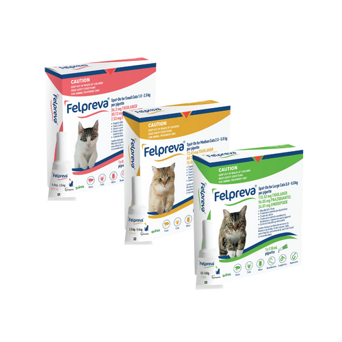 Felpreva Spot-On For Cats