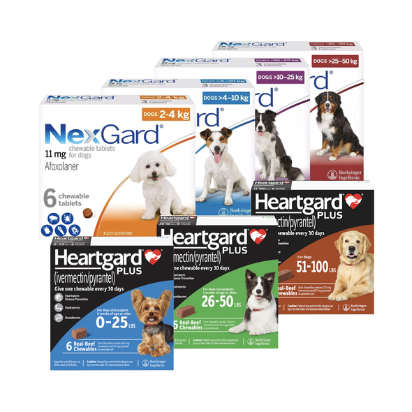 NexGard & HeartGard PLUS קומבו - חבילה ל-6 חודשים