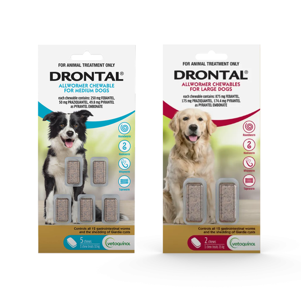 Drontal Allwormer Chews for Dogs
