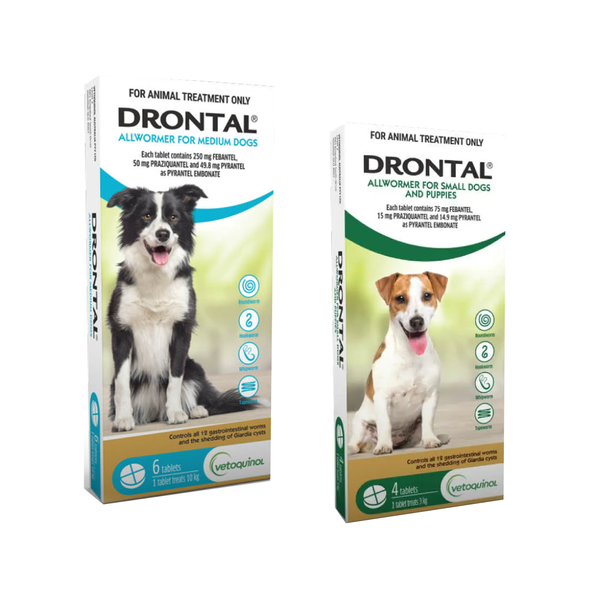 Drontal Allwormer Tabletten für Hunde