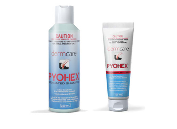 pyohex dog shampoo