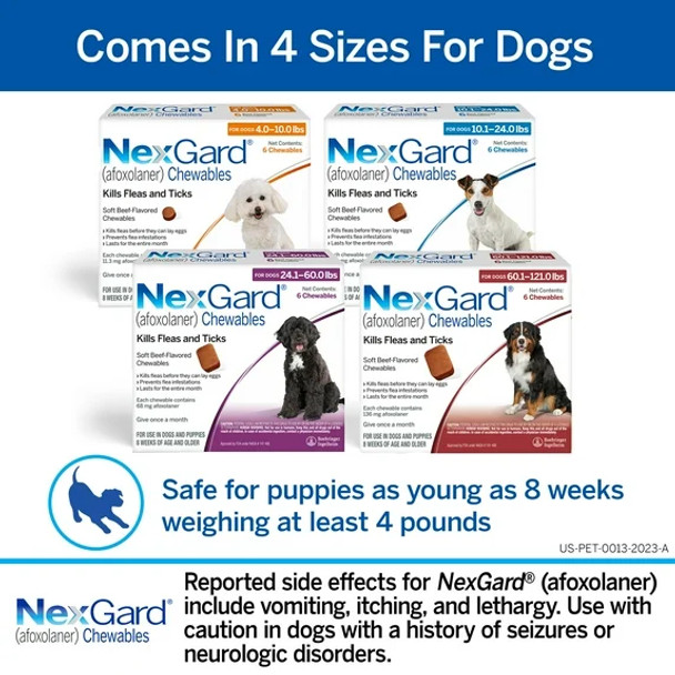 NexGard Floh & Zecke Kautabletten für Hunde