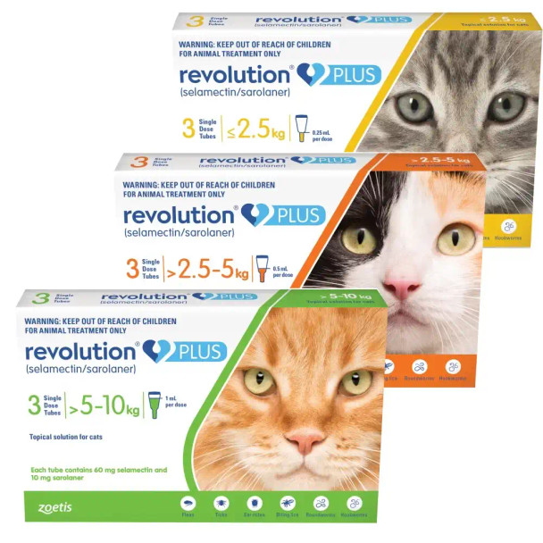 20% Off Revolution PLUS for Cats and Kittens at Atlantic Pet Products