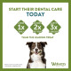 Whimzees Toothbrush Dog Dental Treats