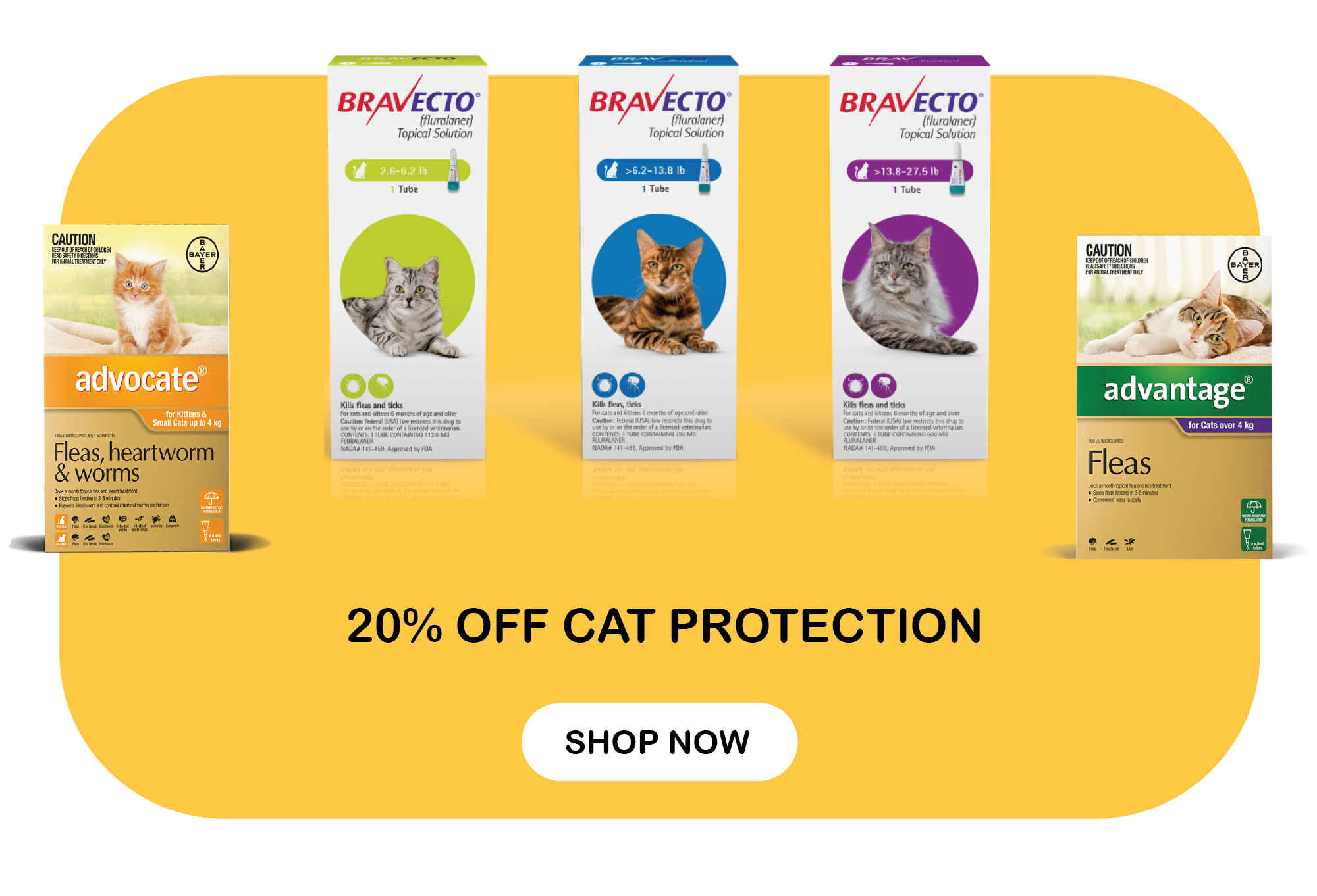 20% DE RÉDUCTION SUR LA PROTECTION DES CHATS ! MAGASINEZ LES MARQUES ADVANTAGE, BRAVECTO, FRONTLINE, ET PLUS ENCORE ! TOUT CE DONT VOTRE CHAT A BESOIN !