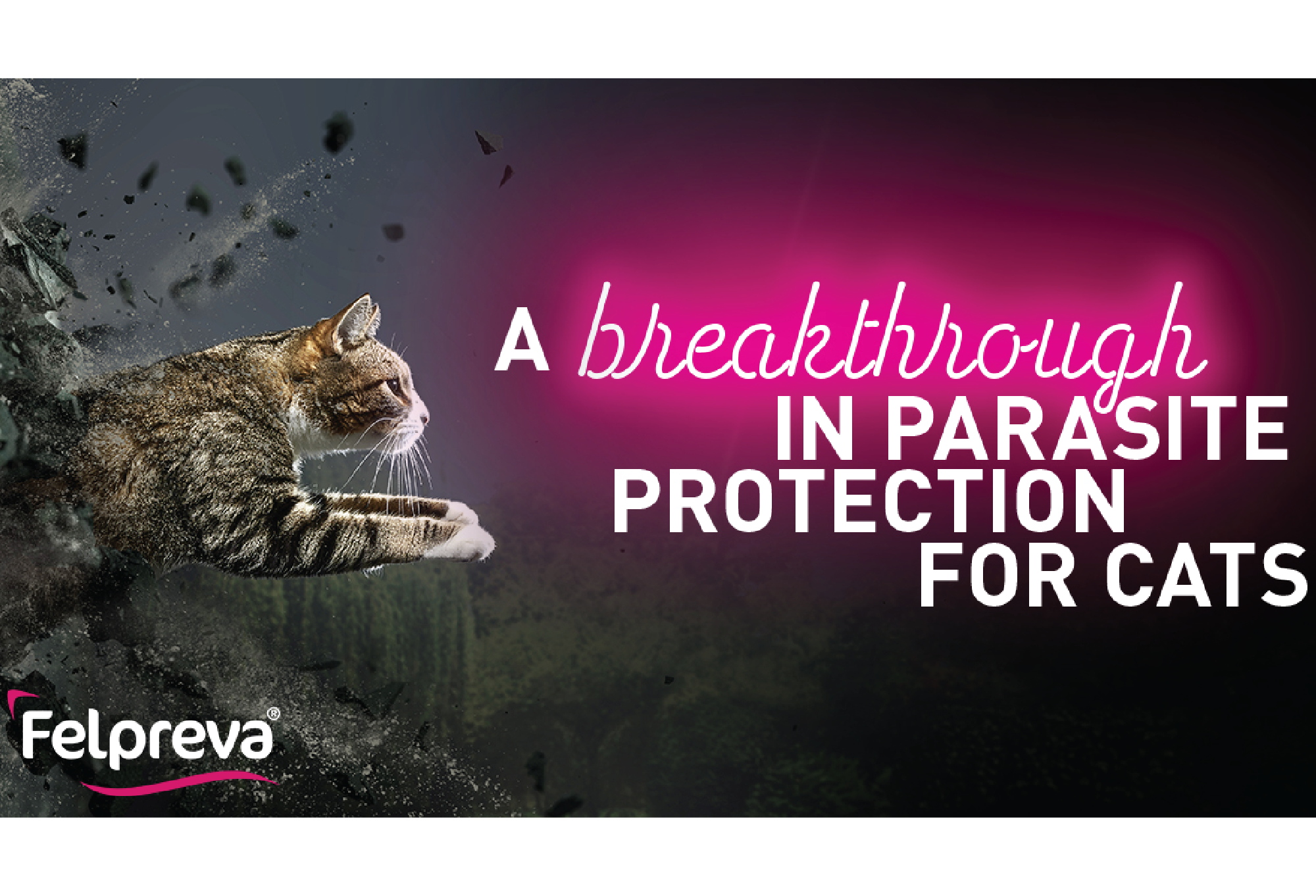 Felpreva（フェルプリーバ）-猫用寄生虫予防の画期的な進歩。この新しいスポットオントリートメントで、あなたのネコちゃんをノミ、ダニ、回虫から守りましょう。 