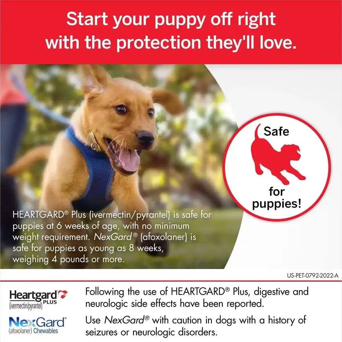 반려견용 하트가드 플러스 츄어블 | 애틀랜틱 펫 프로덕츠