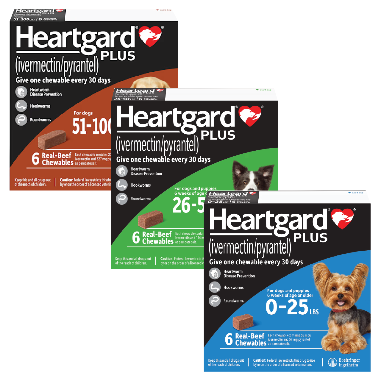 Heartgard Plus Chewables for Dogs Atlantic Pet Products