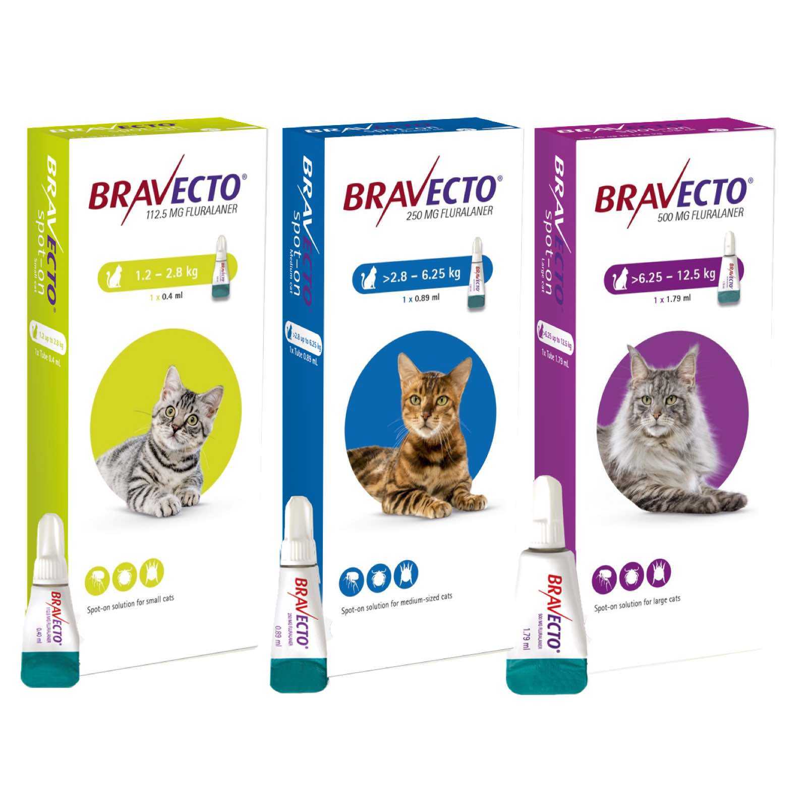 Bravecto Solution topique pour chats | Atlantic animalerie en ligne