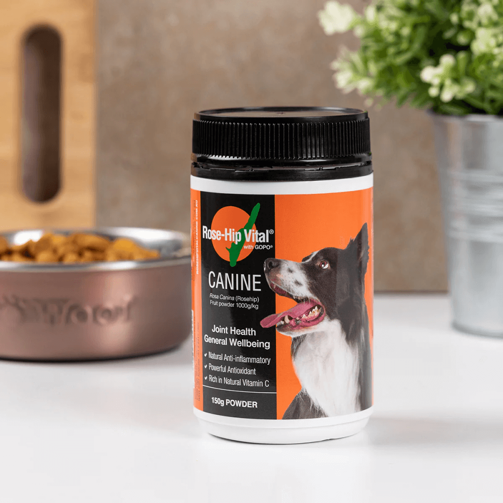 canine rosehip powder