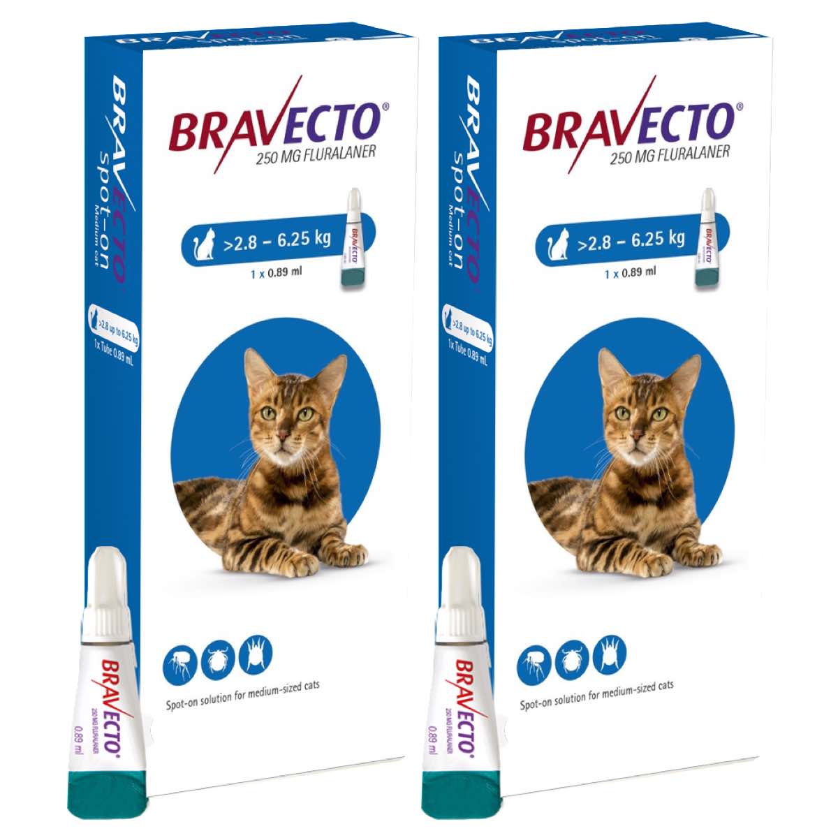 Bravecto Spot-On Lösung für Katzen