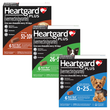 Heartgard Cheap Nexgard Buy NexGard Spectra For Dogs Flea, Tick