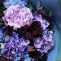 Hydrangea Bouquet