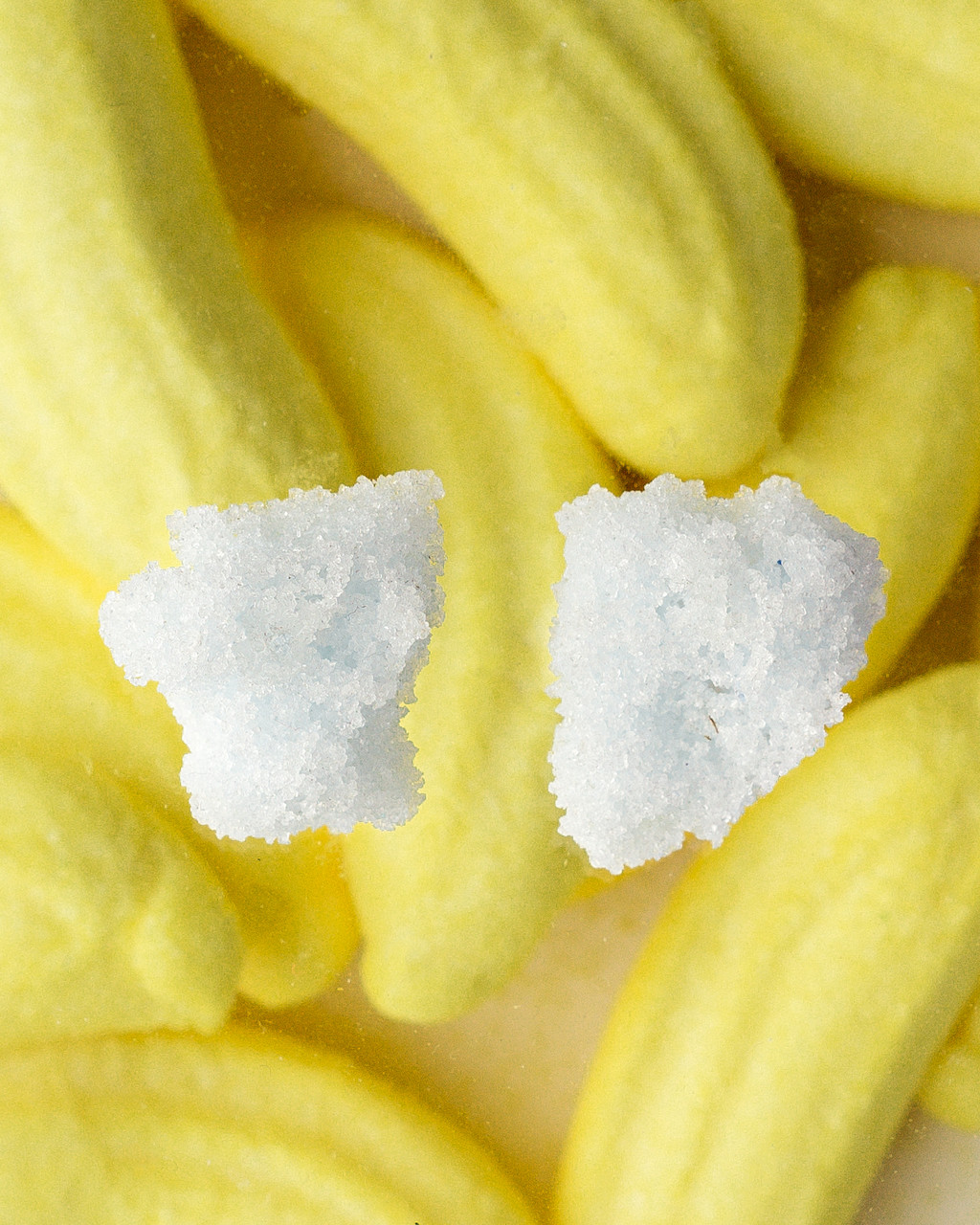 Sugar Earrings Ice - Carla Movia