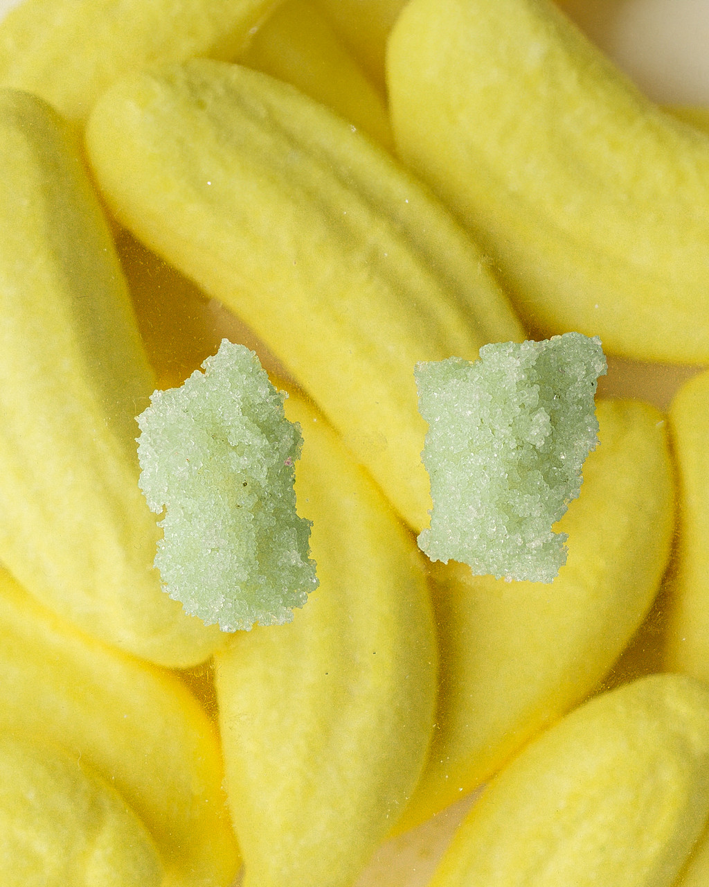 Sugar Earrings Mint - Carla Movia