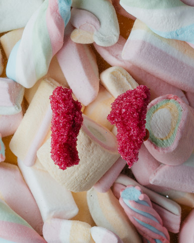 Sugar Earrings Magenta