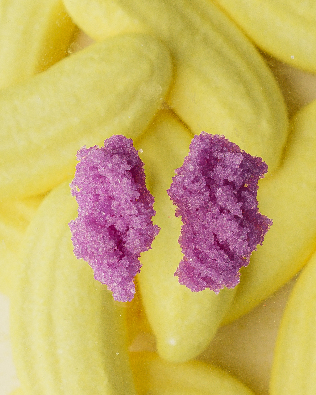Sugar Earrings Neon Purple - Carla Movia