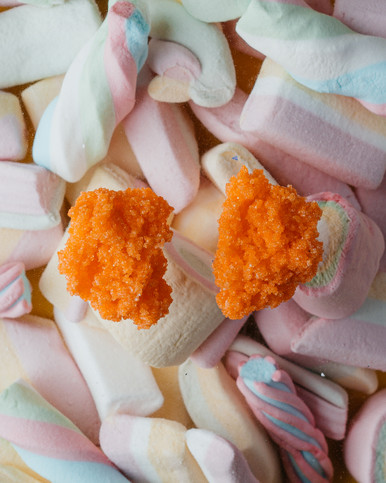 Sugar Earrings Orange