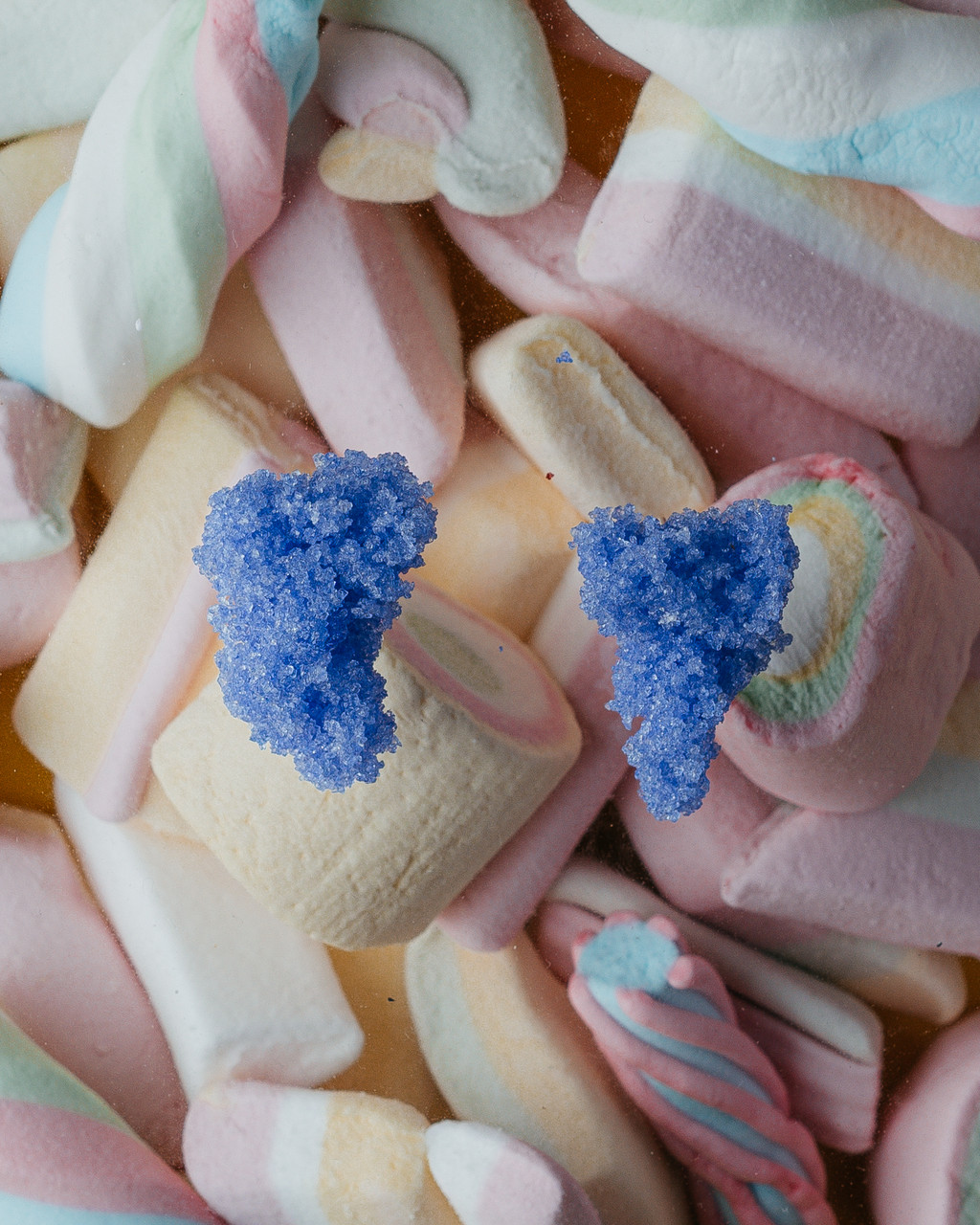 Sugar Earrings Powder Blue - Carla Movia