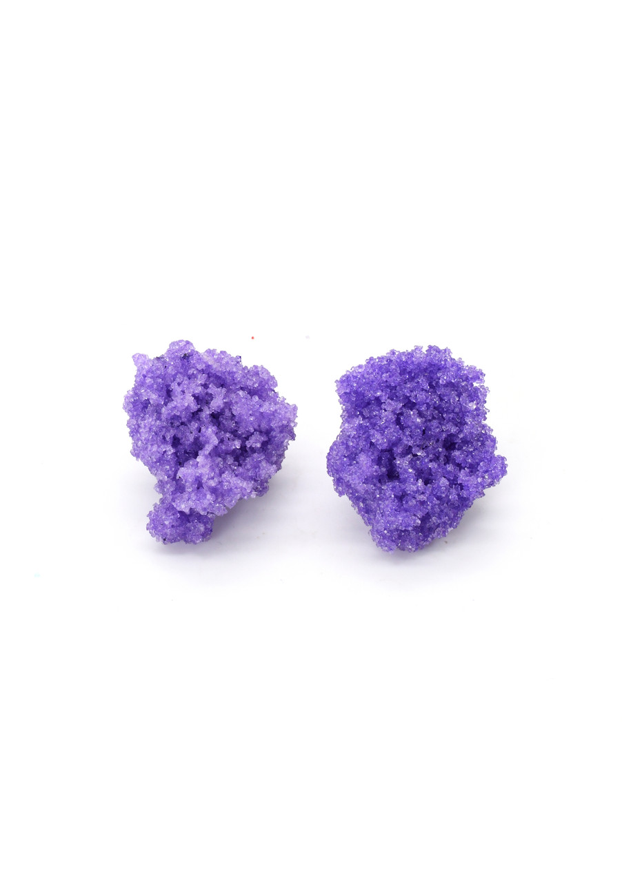 Sugar Earrings Purple - Carla Movia
