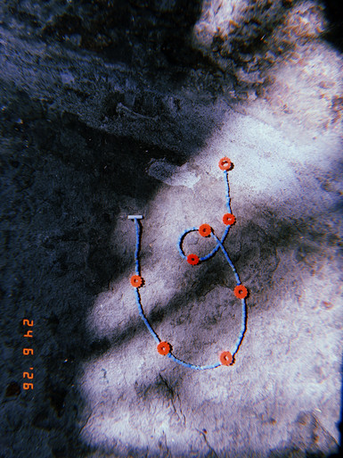 Friendship Necklace Turquoise & Red