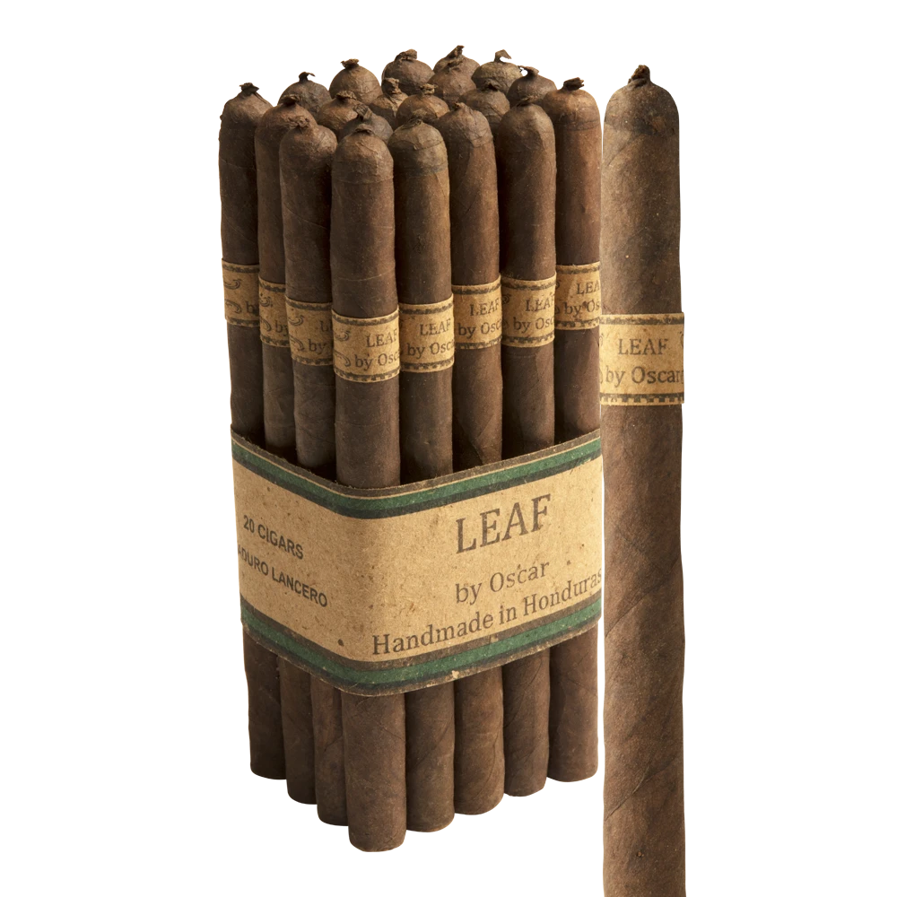 Leaf by Oscar Maduro Lancero