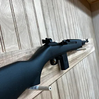 Chiappa Firearms M1-22