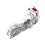 Rockford Fosgate HD9813RG-PMX-STG2 PMX Stage 2 Kit For 98-13 Harley Road Glide