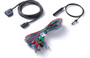 Pioneer RD-RGB150A RGB Extension Kit for Modular AV Receivers