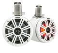 Marine Tower Speakers