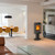 Jotul F363 on pedestal Advance Wood Burning 6kW Stove
