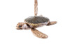 BA Sea Turtle Ornament