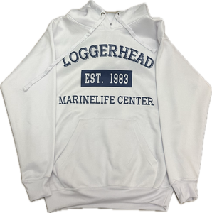 1983 Pullover Hoodie